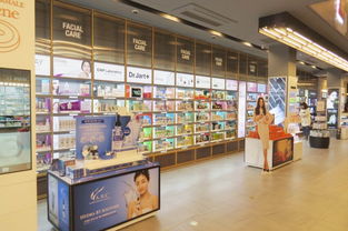 家具與文化用品設計產業鏈 從生產到招商的完整生態